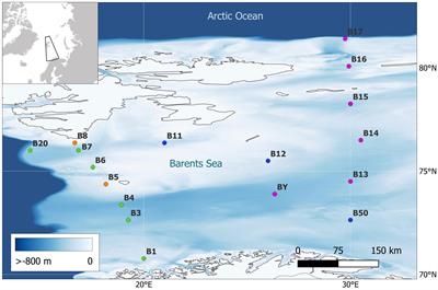 Quantifying zoobenthic blue carbon storage across habitats within the Arctic’s Barents Sea